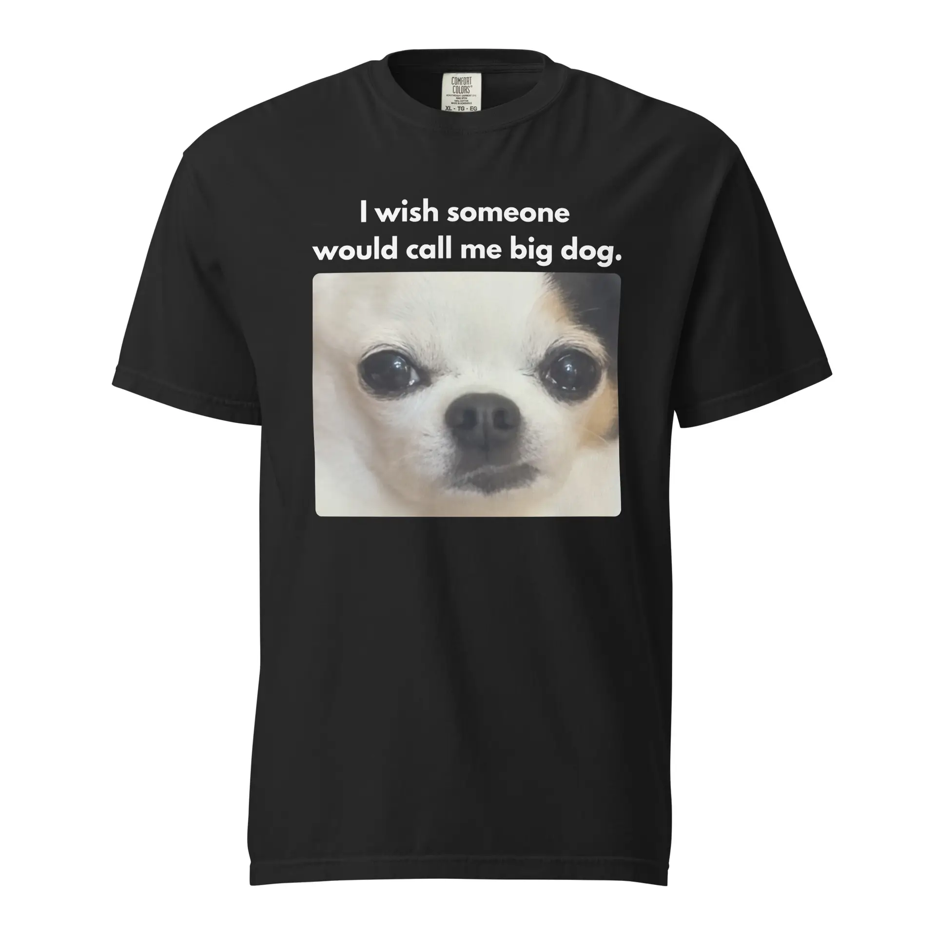 unisex-garment-dyed-heavyweight-t-shirt-black-front-6a502969877db I Wish Someone Would Call Me Big Dog Meme T-Shirt - Image 1
